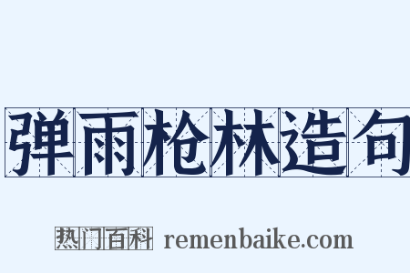 弹雨枪林造句是什么意思的图片